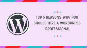 Top 5 Reasons To Hire a WordPress Professional