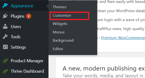 Thrive Themes customizer