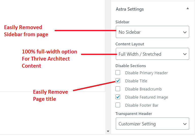 astra-page-layout-full-width-streched