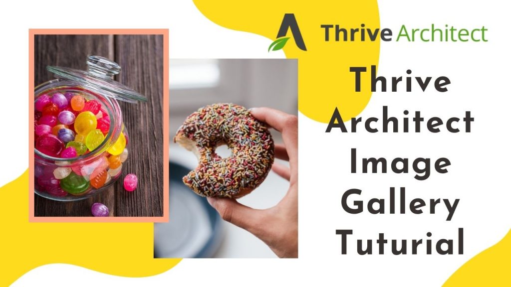Thrive Architect Image Gallery Tuturial